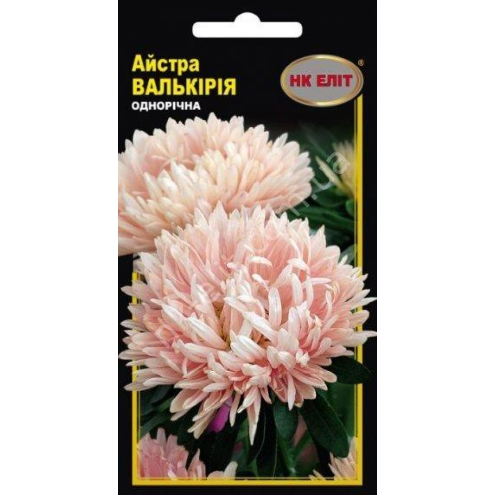 Астра Валькірія