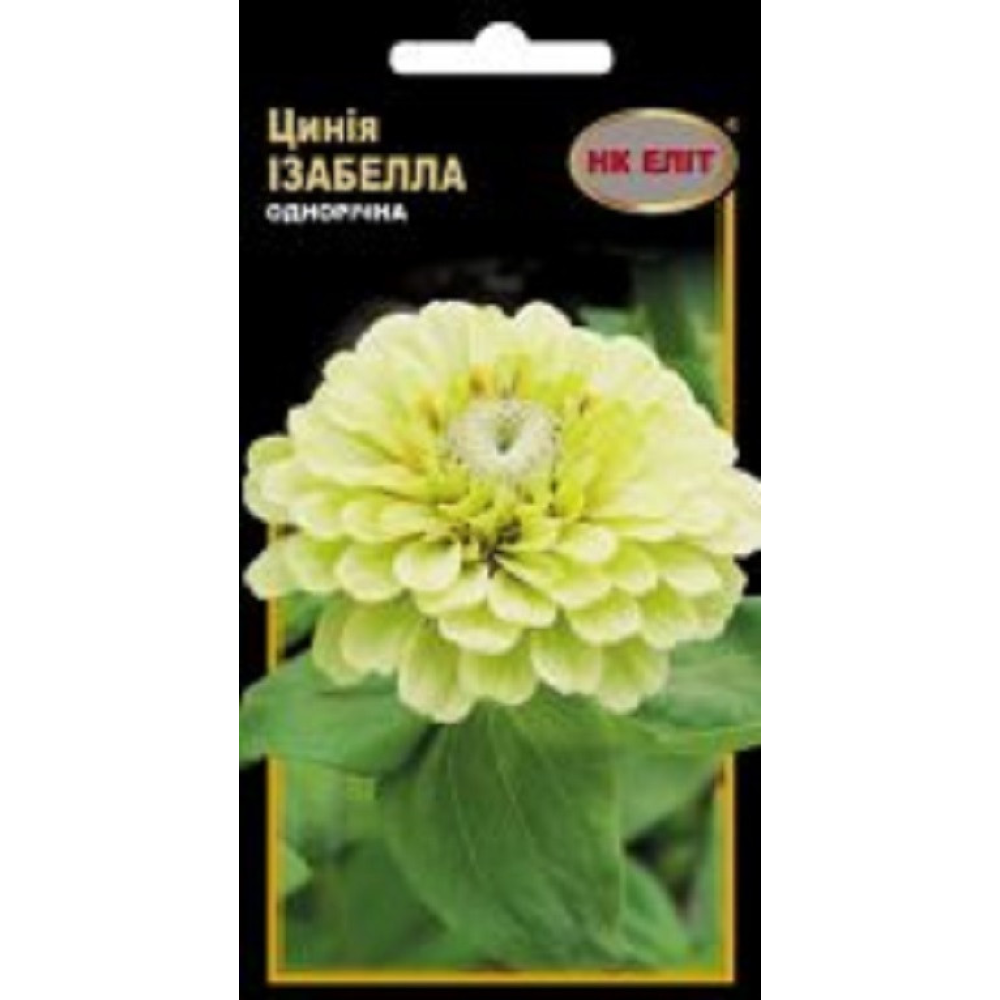 Цинія Ізабелла