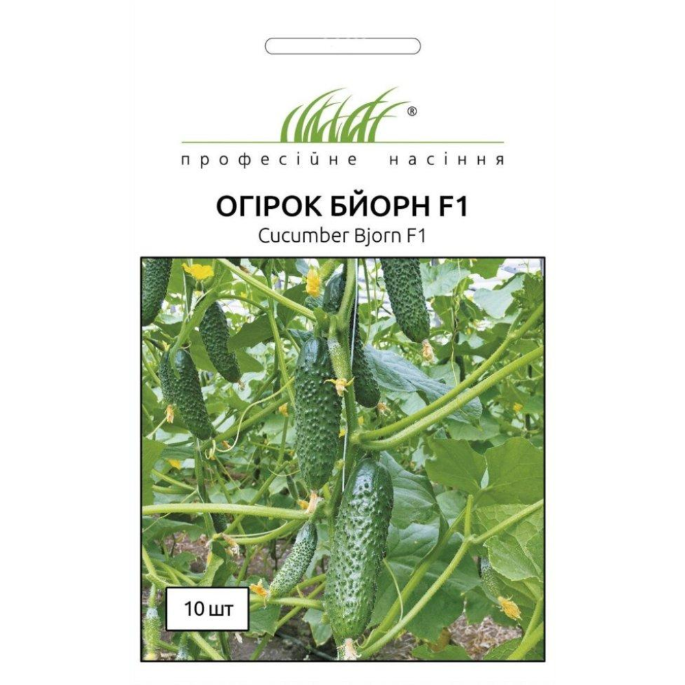 Огірок Бйорн F1 10шт / Enza Zaden