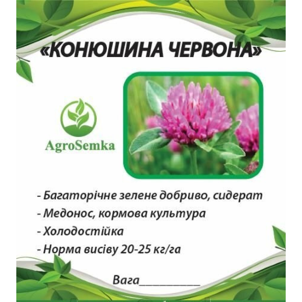 Насіння Конюшини червоної магниченої багаторічної посівної, 1кг урожай 2024 р