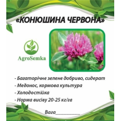 Насіння Конюшини червоної магниченої багаторічної посівної, 1кг урожай 2024 р