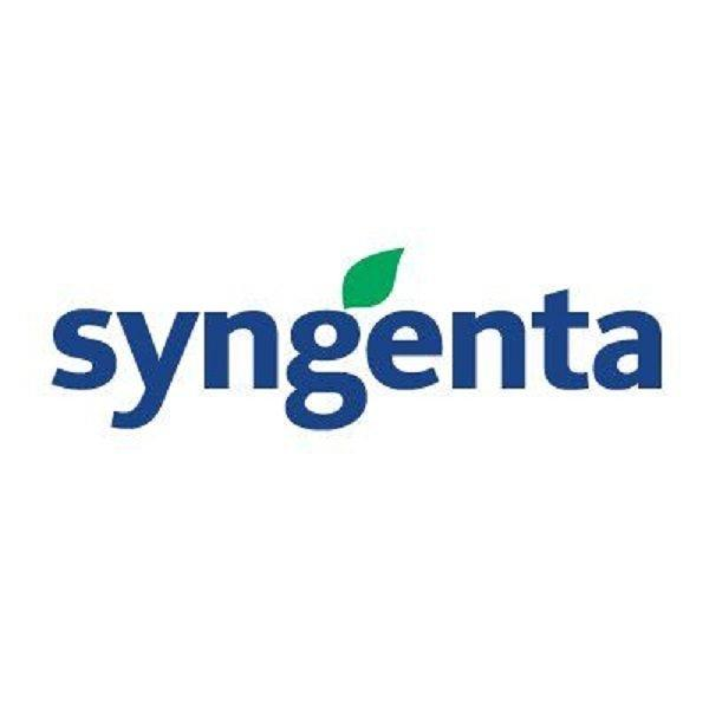 Огірок Октопус F1 20шт / Syngenta