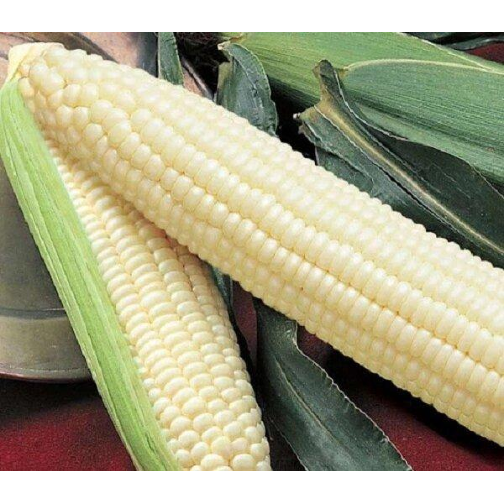 Кукурудза Білосніжка 20 г