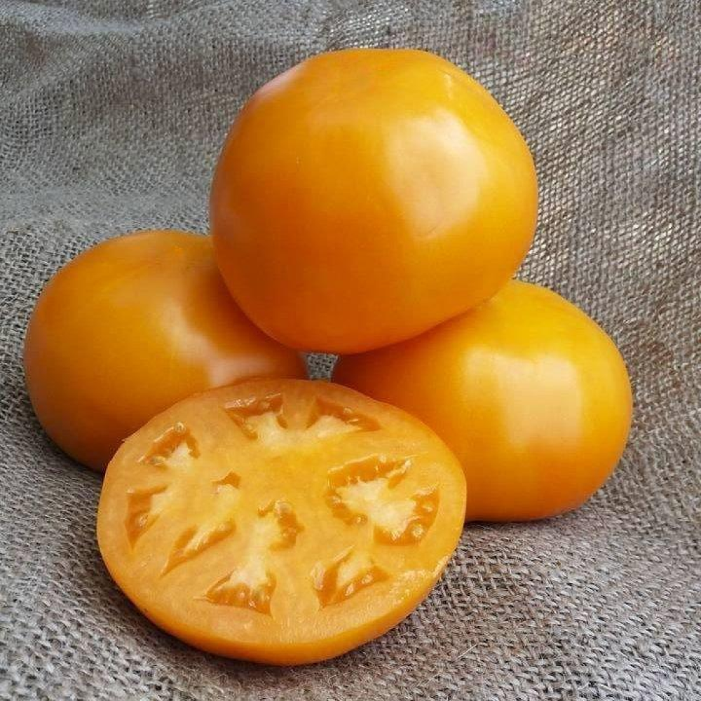 Насіння Томат Айсан F1 10шт / Kitano Seeds