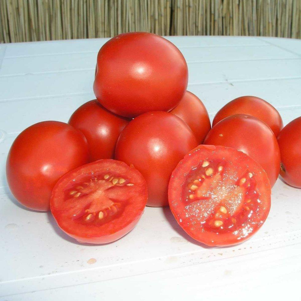 Насіння Томат Солероссо F1 20шт / Nunhems Zaden