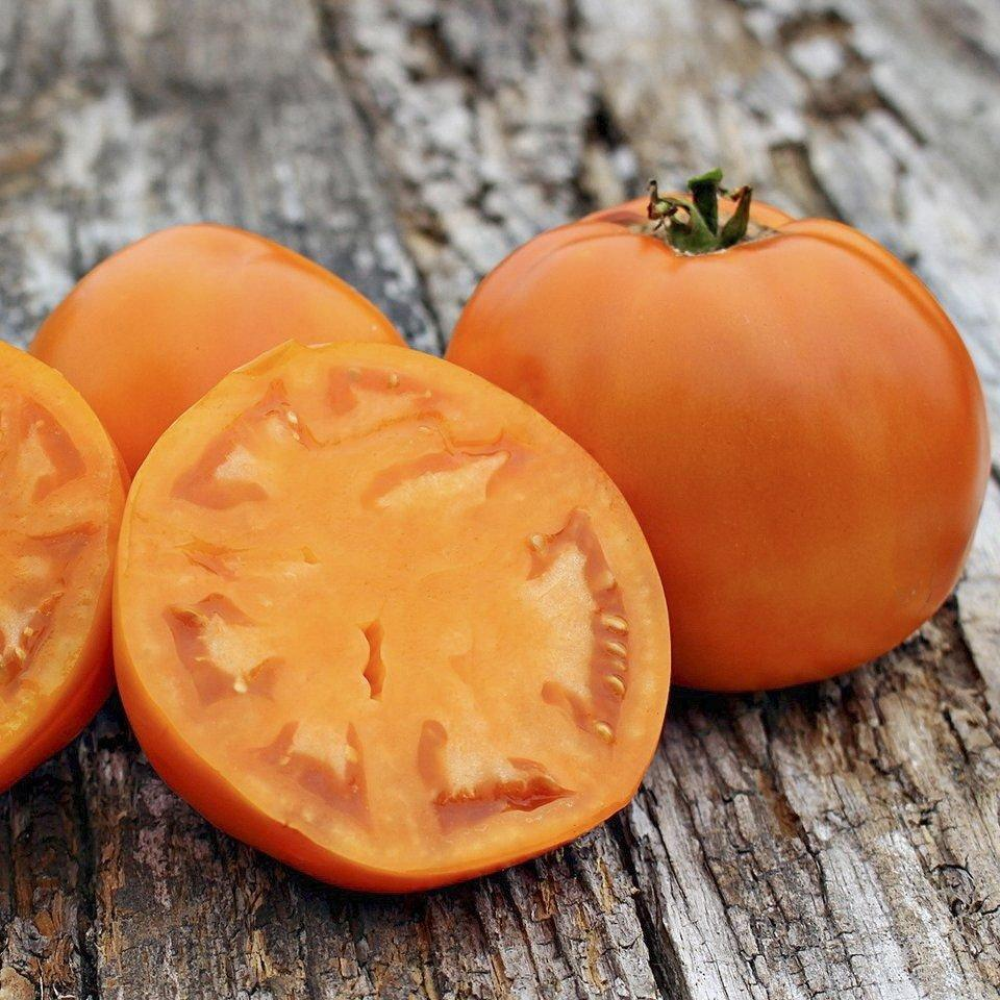 Томат Солидо F1 10шт