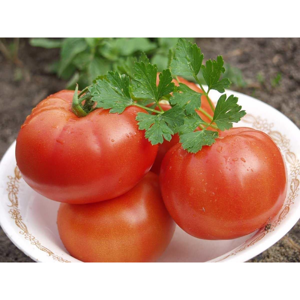 Томат Полбиг F1 0,05 г /Bejo Zaden