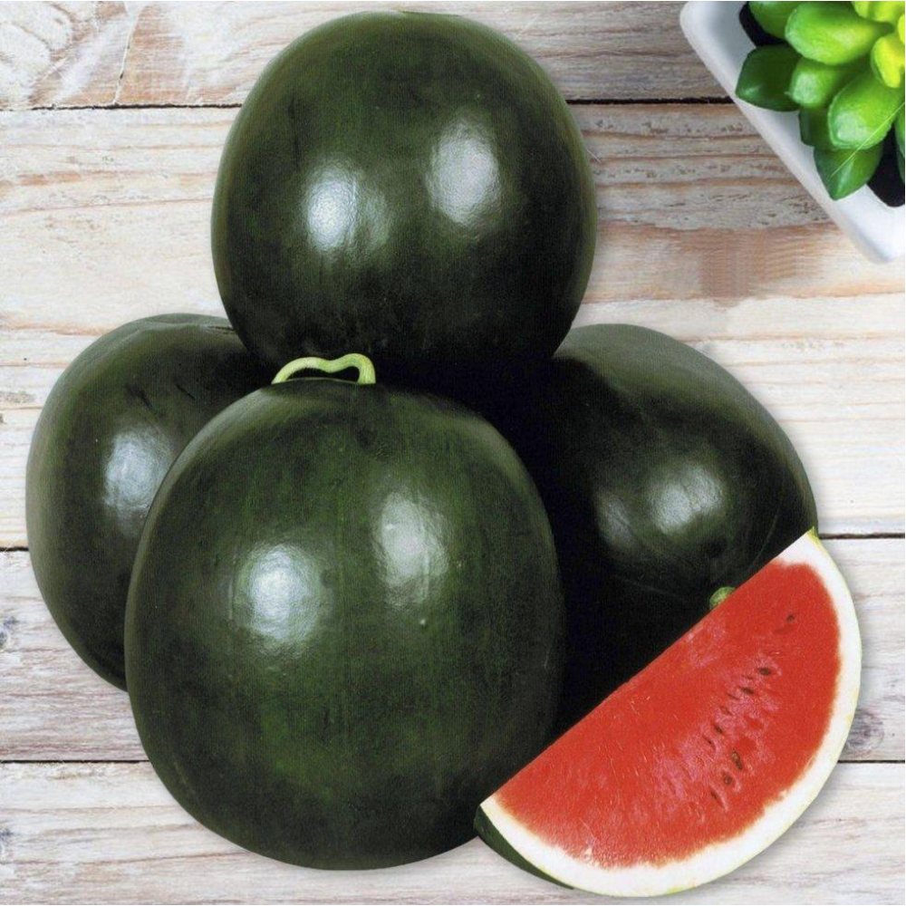 Кавун Ромерия F1 8шт / United Genetics