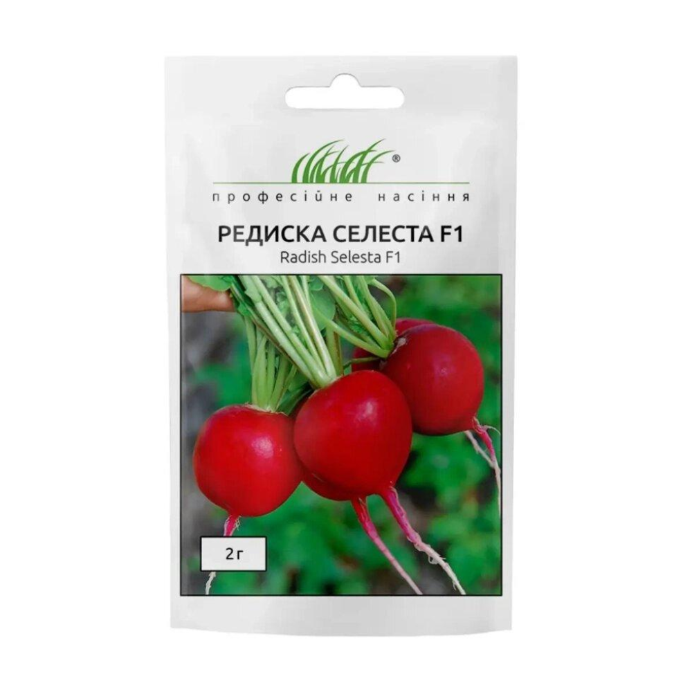 Насіння Редис Селеста F1 2г / Enza Zaden