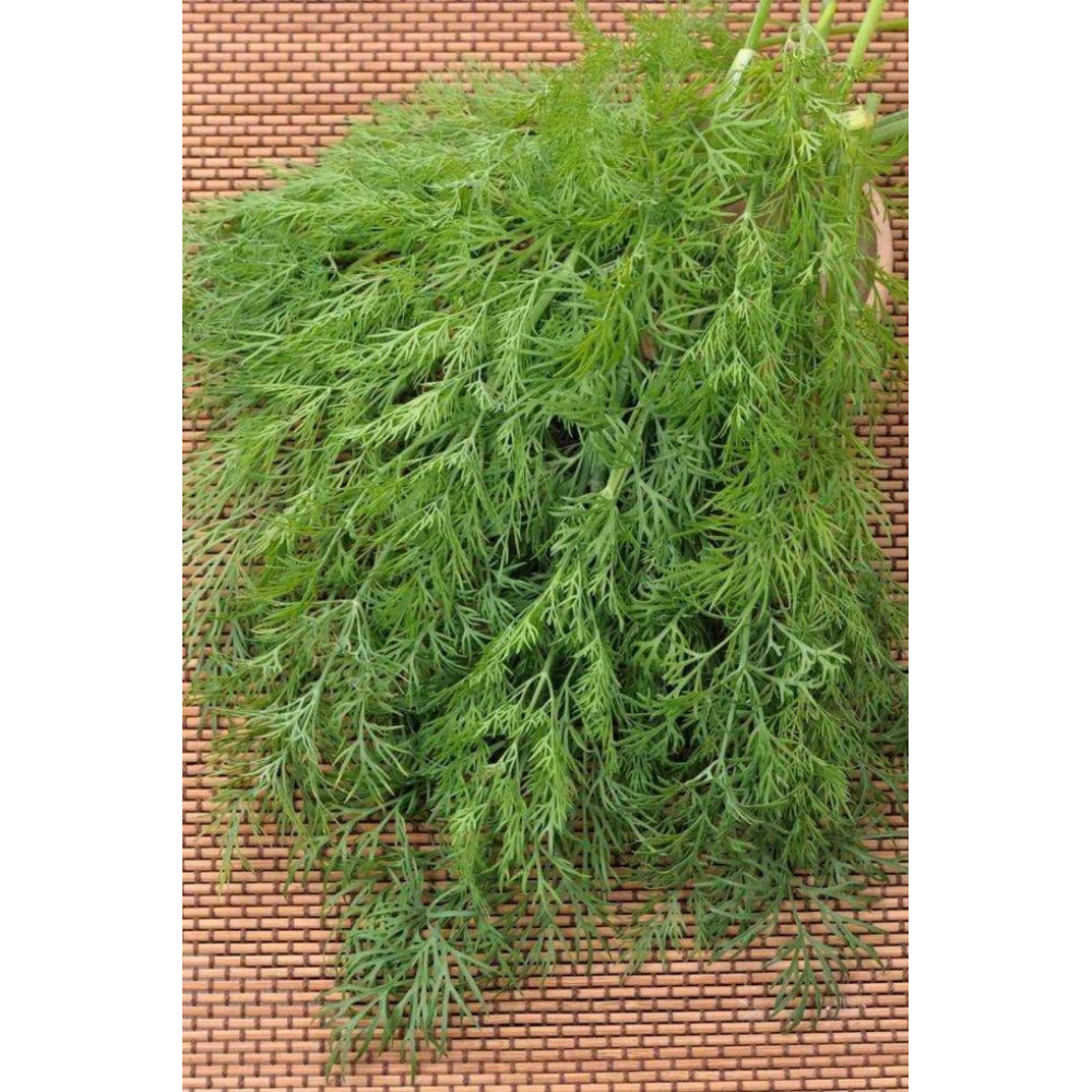 Кріп Анет 2г / Tezier