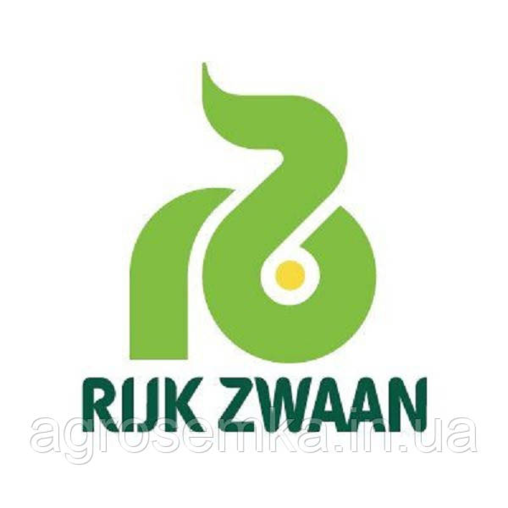 Салат Конкорд 30шт / Rijk Zwaan