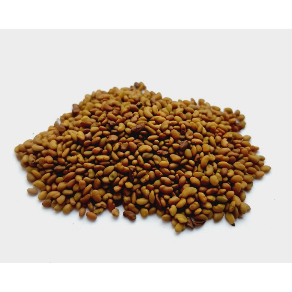 Насіння трави Люцерна (магнічена) багаторічна посівна,1 кілограм урожай 2023 г