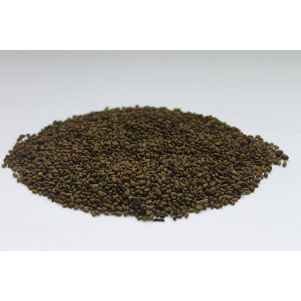 Насіння трави Люцерна (магнічена) багаторічна посівна,1 кілограм урожай 2023 г