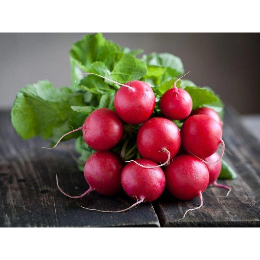 Насіння Редиска Скоростигла ніжна 20 г