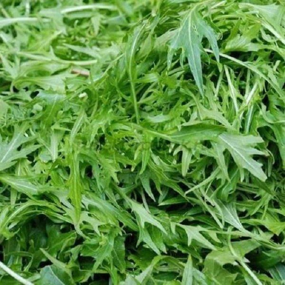 Насіння Рукола Сільветта лісова 0.3 г