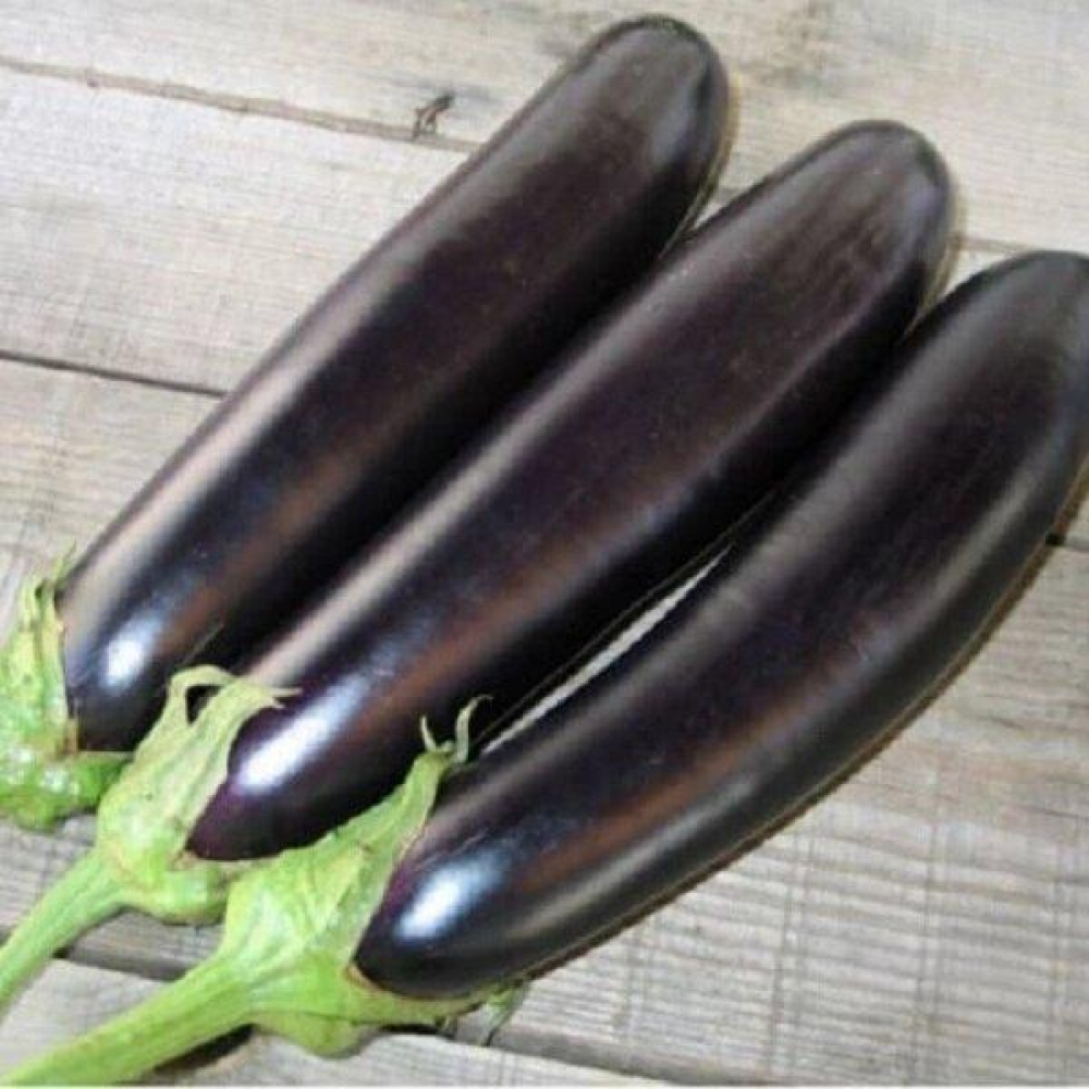 Насіння Баклажан Самурай 0.5 г