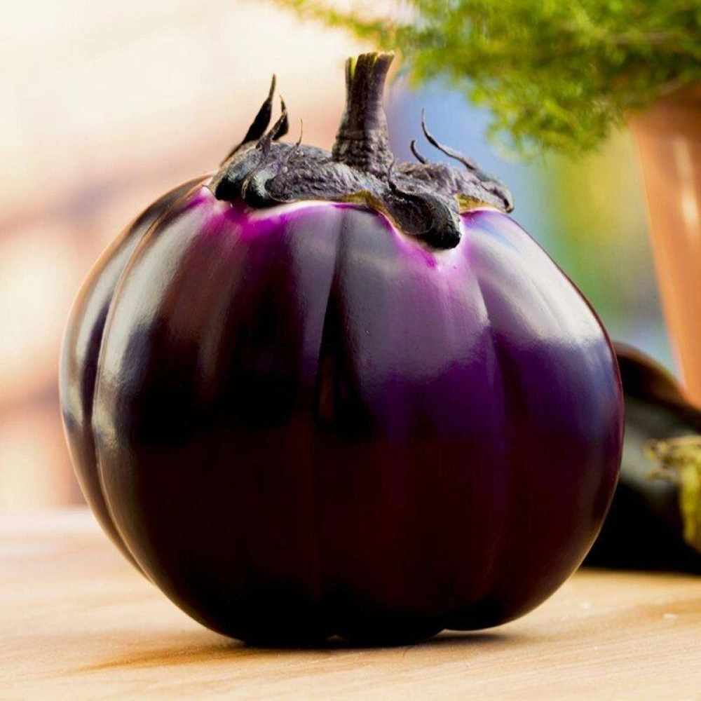 Насіння Баклажан Бриска F1 15шт / United Genetics