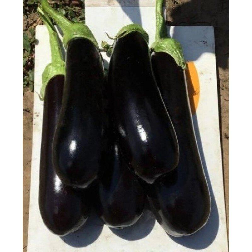 Насіння Баклаян Казімир F1 15шт / Clause