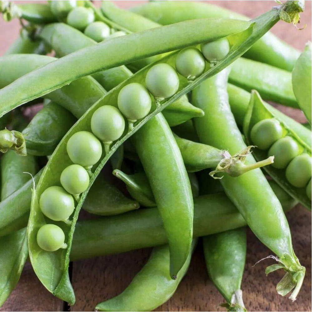 Насіння Горох Муціо 5 г