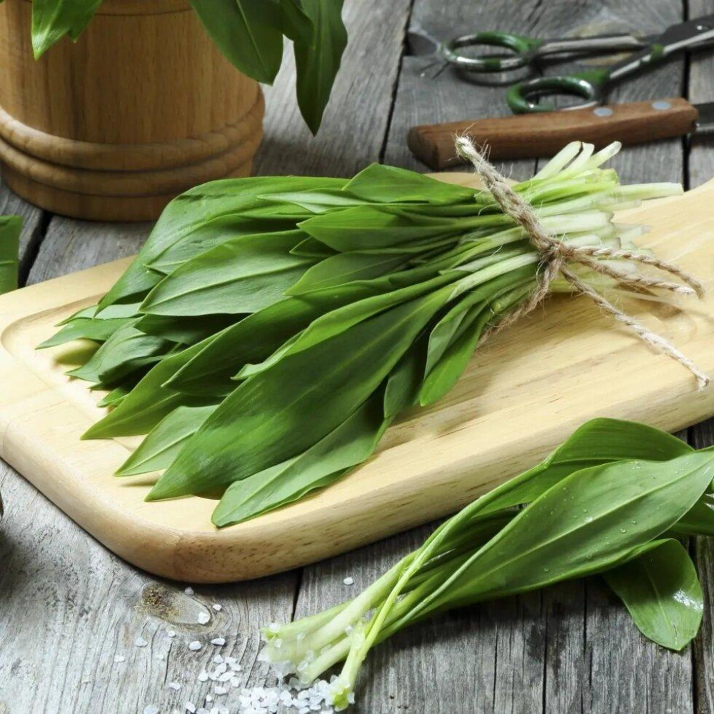 Насіння Черемша 0.3 г / Hem Zaden