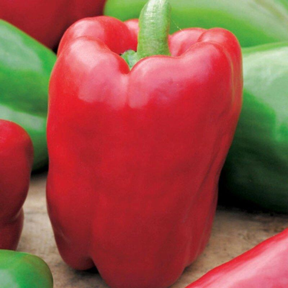 Перець Вікінг 0,3 г