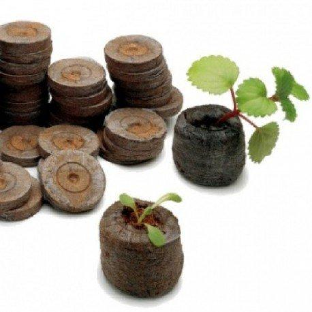 Торфяні таблетки *41 Росток