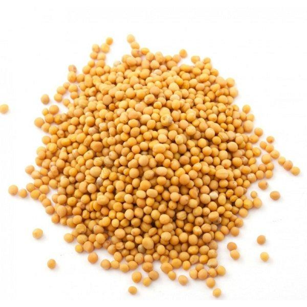 Насіння Гірчиця жовта (сидерат) 1кг на розвід / урожай 2024г