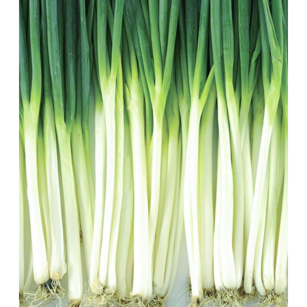 Цибуля Вінтер Сільвер 0.5г (на перо) / NongWoo Bio