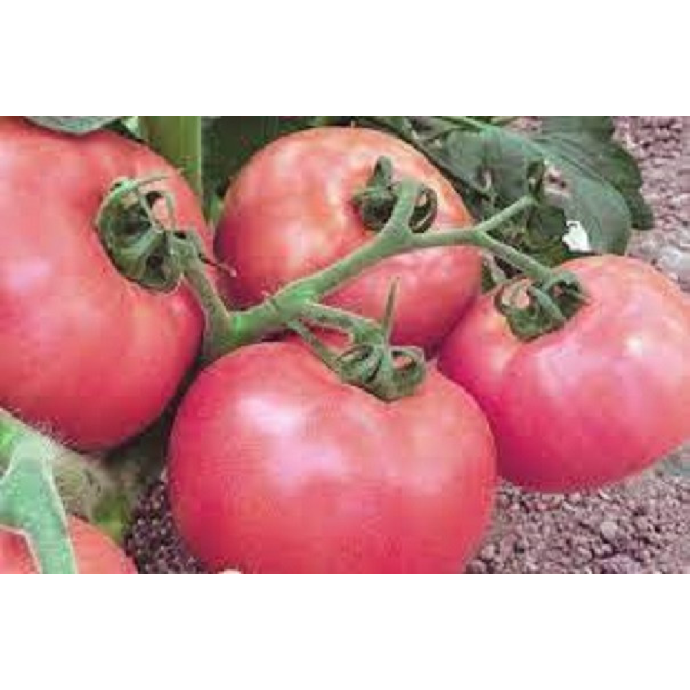 Томат Бренді Рожевий 0.1г