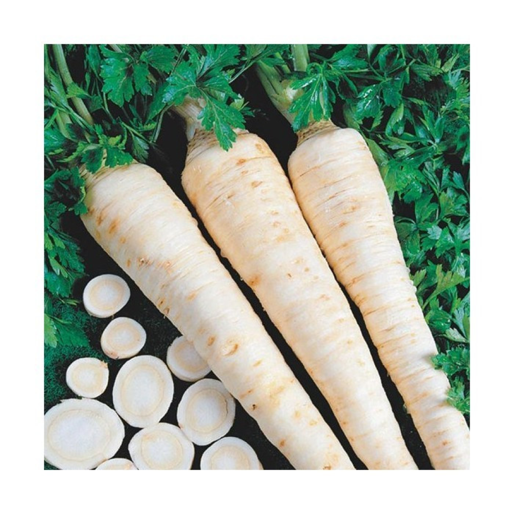 Петрушка коренева Цукрова 10г