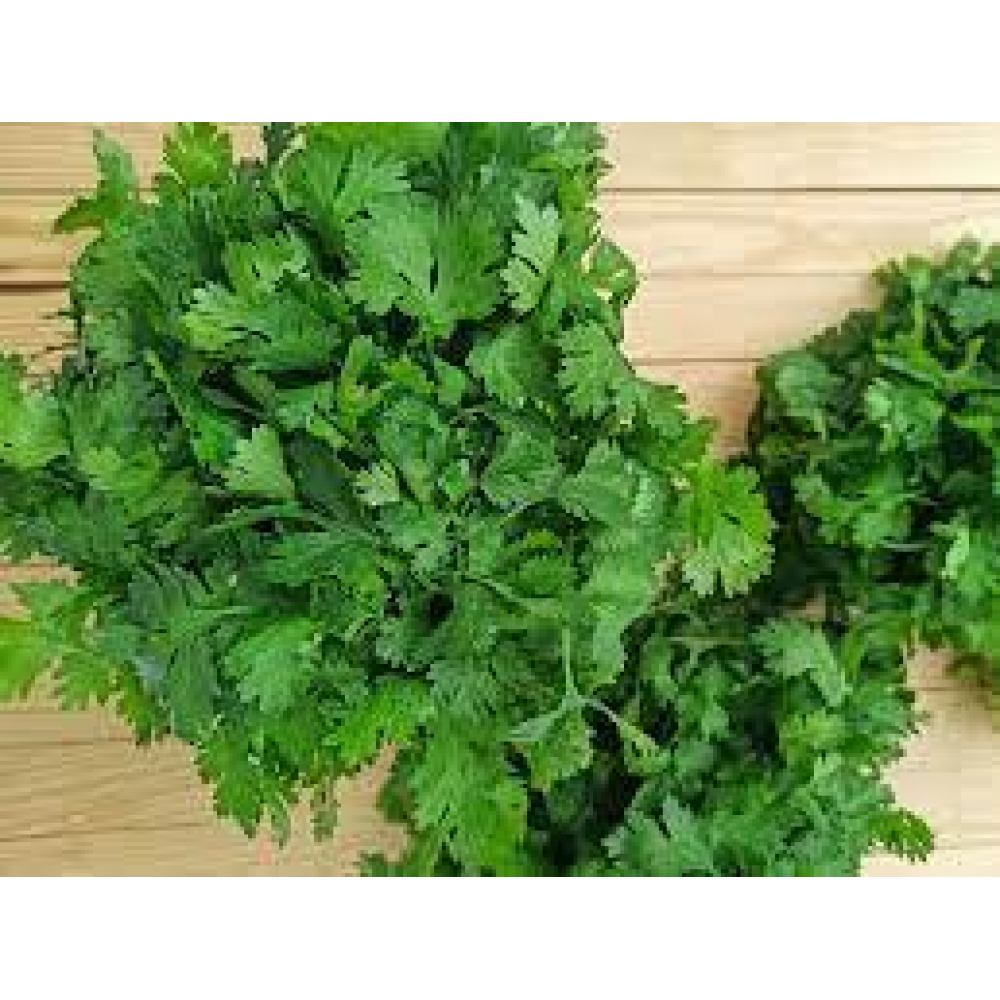 Петрушка листова Карнавал 10г