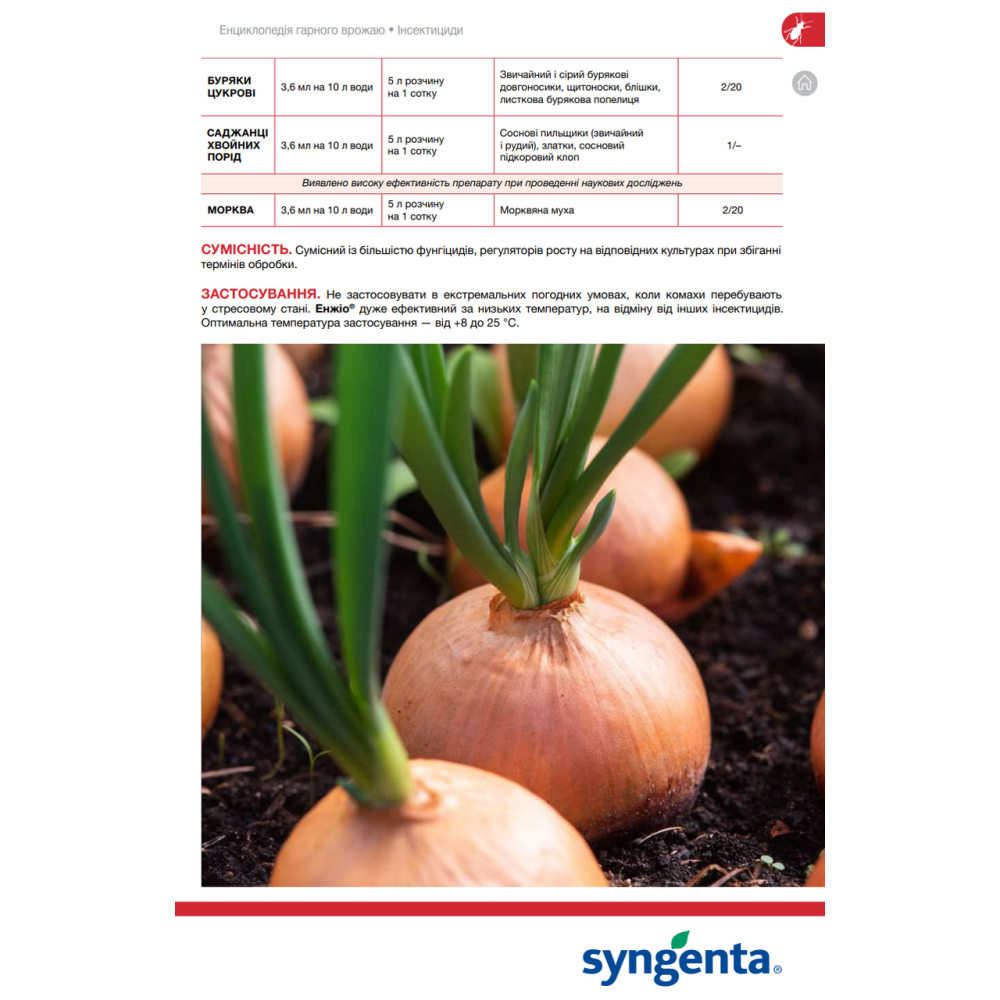 Контакто-системний інсектицид Енжіо 247 SC, к. с. 100мл., Syngenta