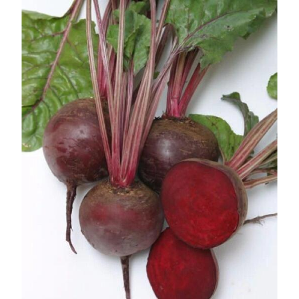 Буряк Бордо  10г