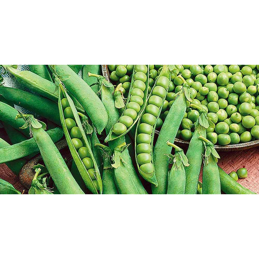 Горох Тіара 20г