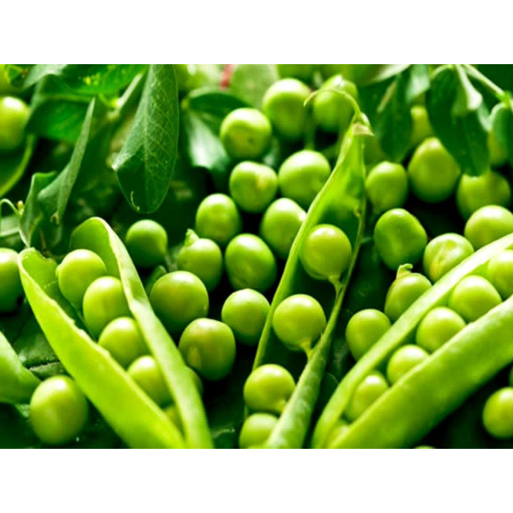 Горох Чудо Кельведона 20г