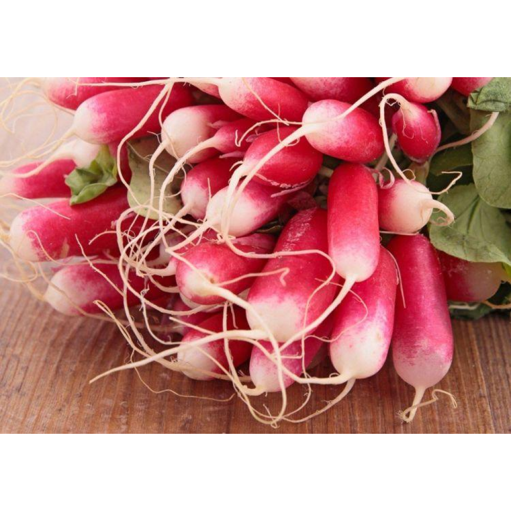 Редиска Міла 3г