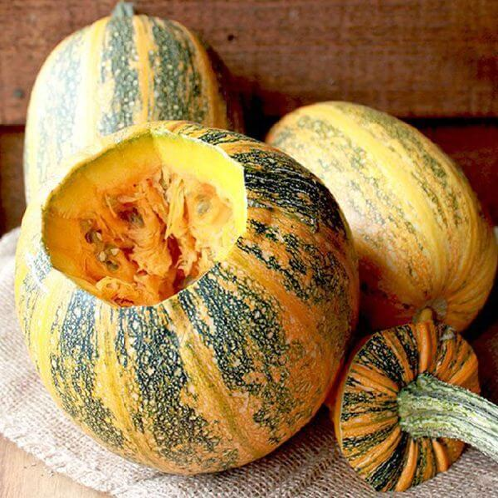 Гарбуз Український багатоплідний 10г