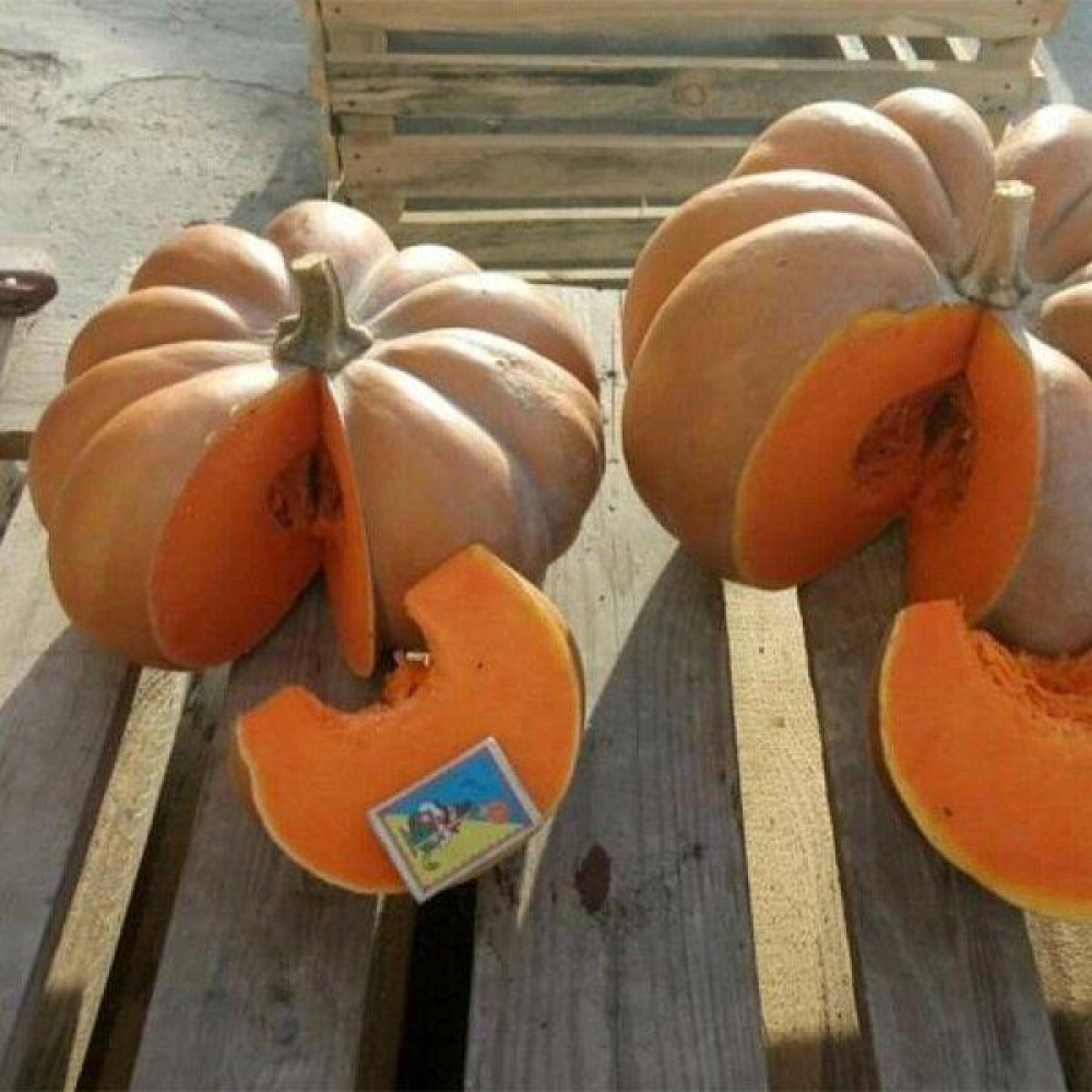 Гарбуз Ді Провенса мускатний 10г