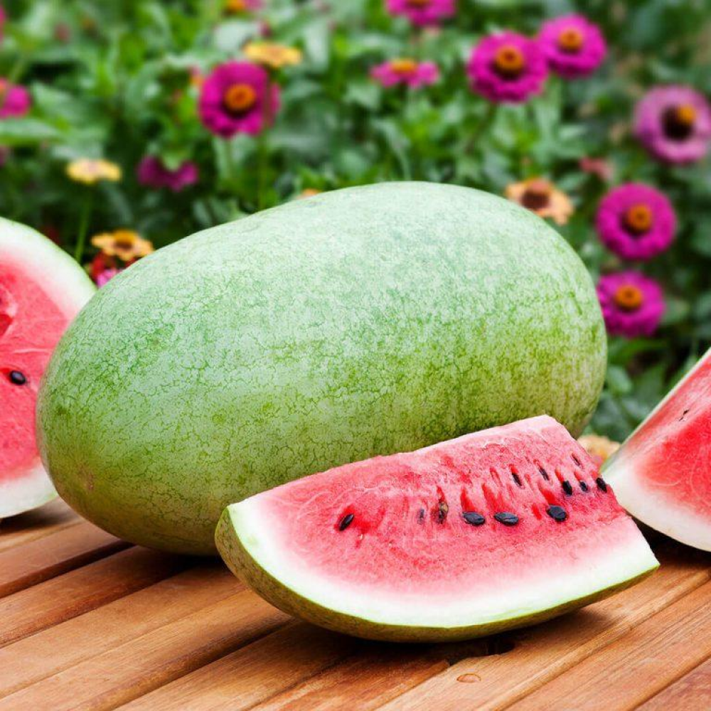 Кавун Чарльстон Грей 20шт