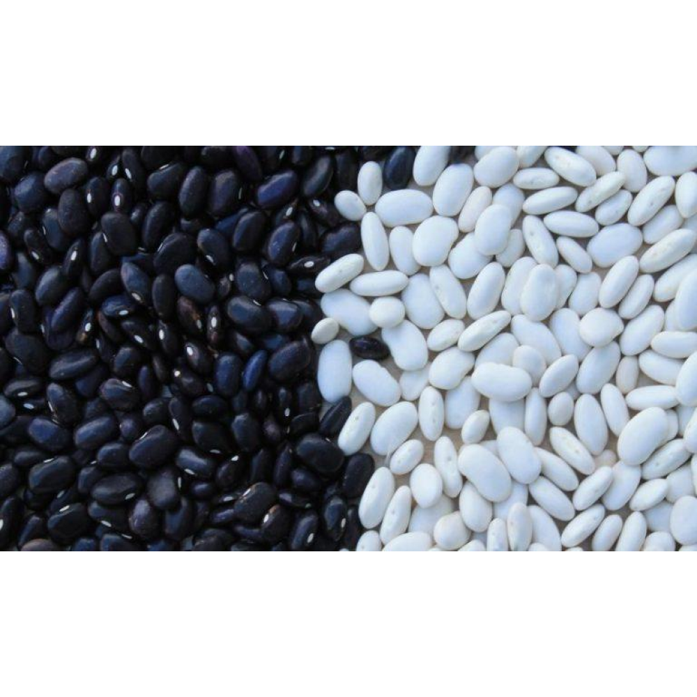 Квасоля ЧОРНА ЧЕРЕПАХА 10 г /на зерно/