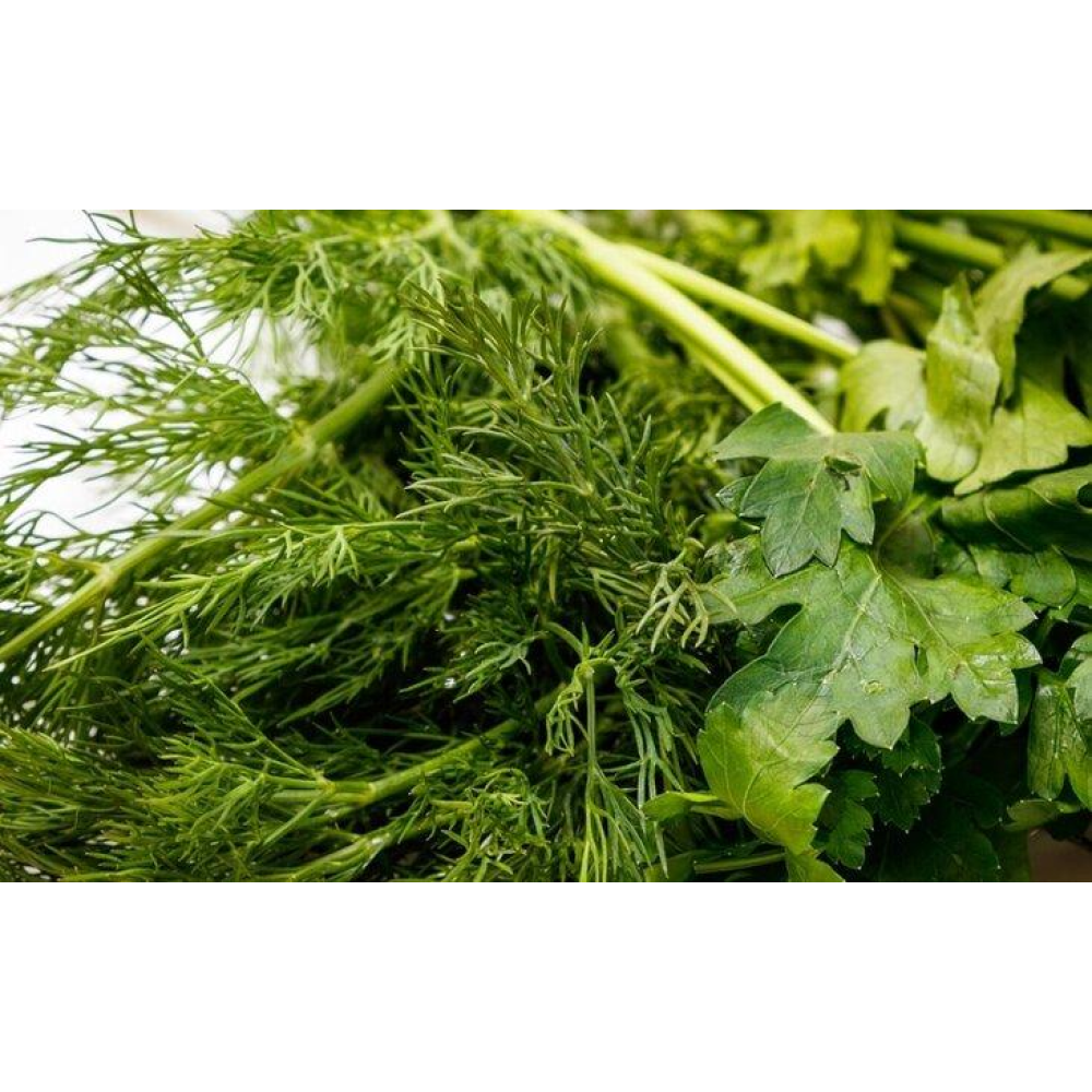 Насіння Кріп Зелена Долина 20г