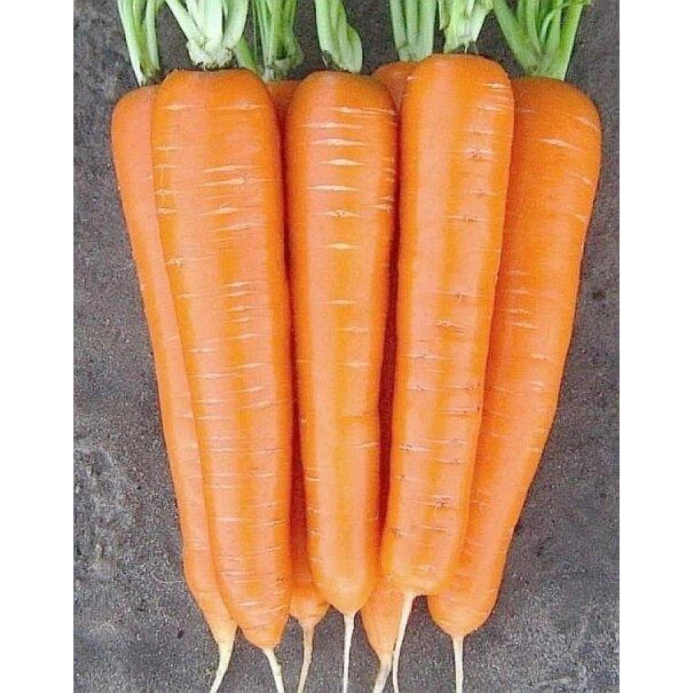 Морква Нантська 10г