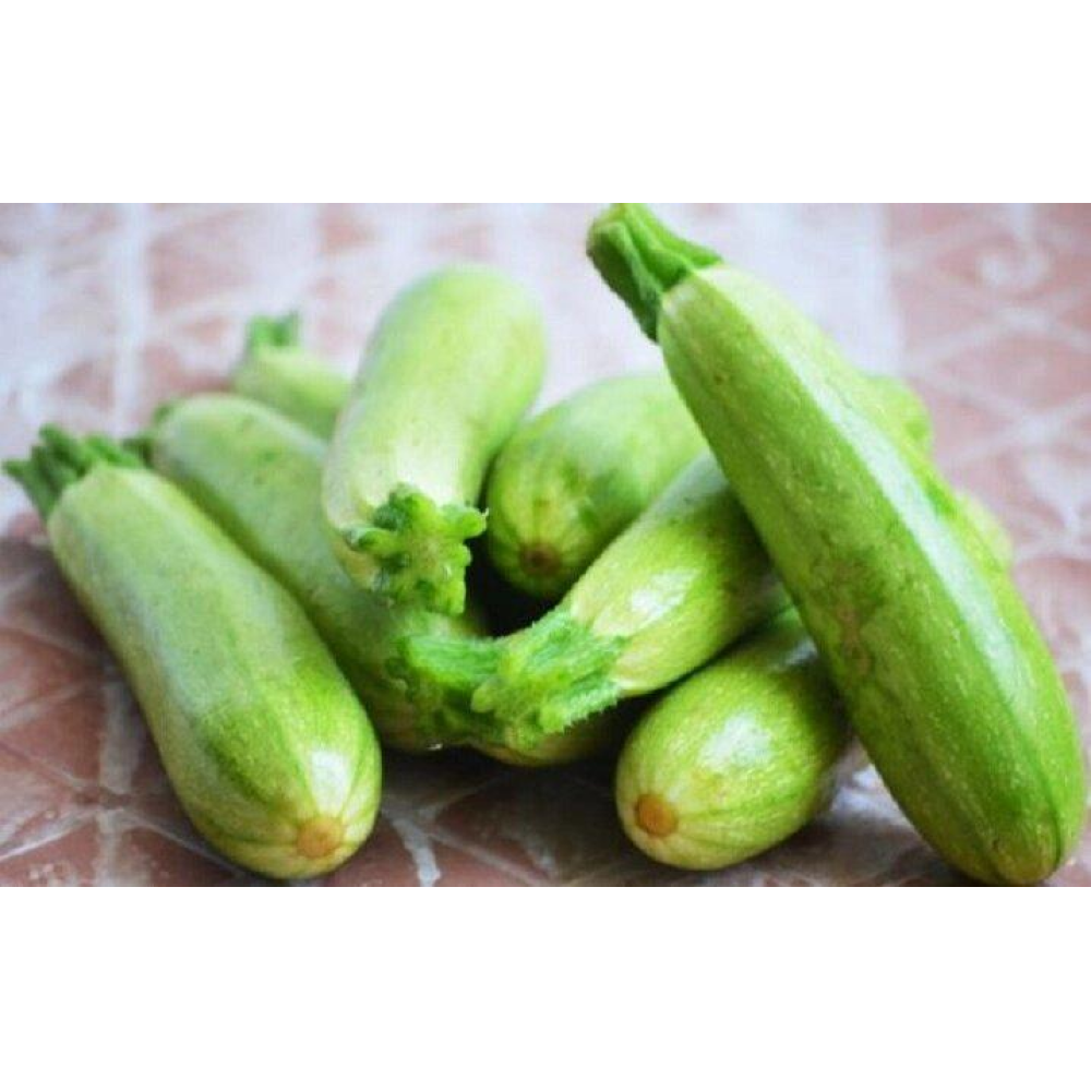 Кабачок Вайт Марроу 20шт