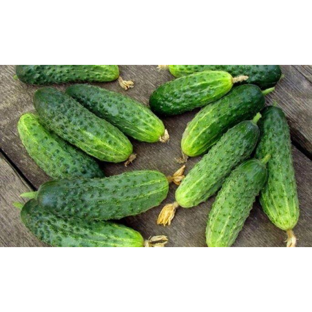 Огірок Сестриця Альонушка 15шт