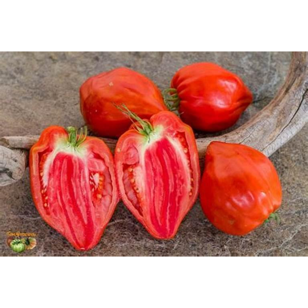 Томат Етуаль 0.1г