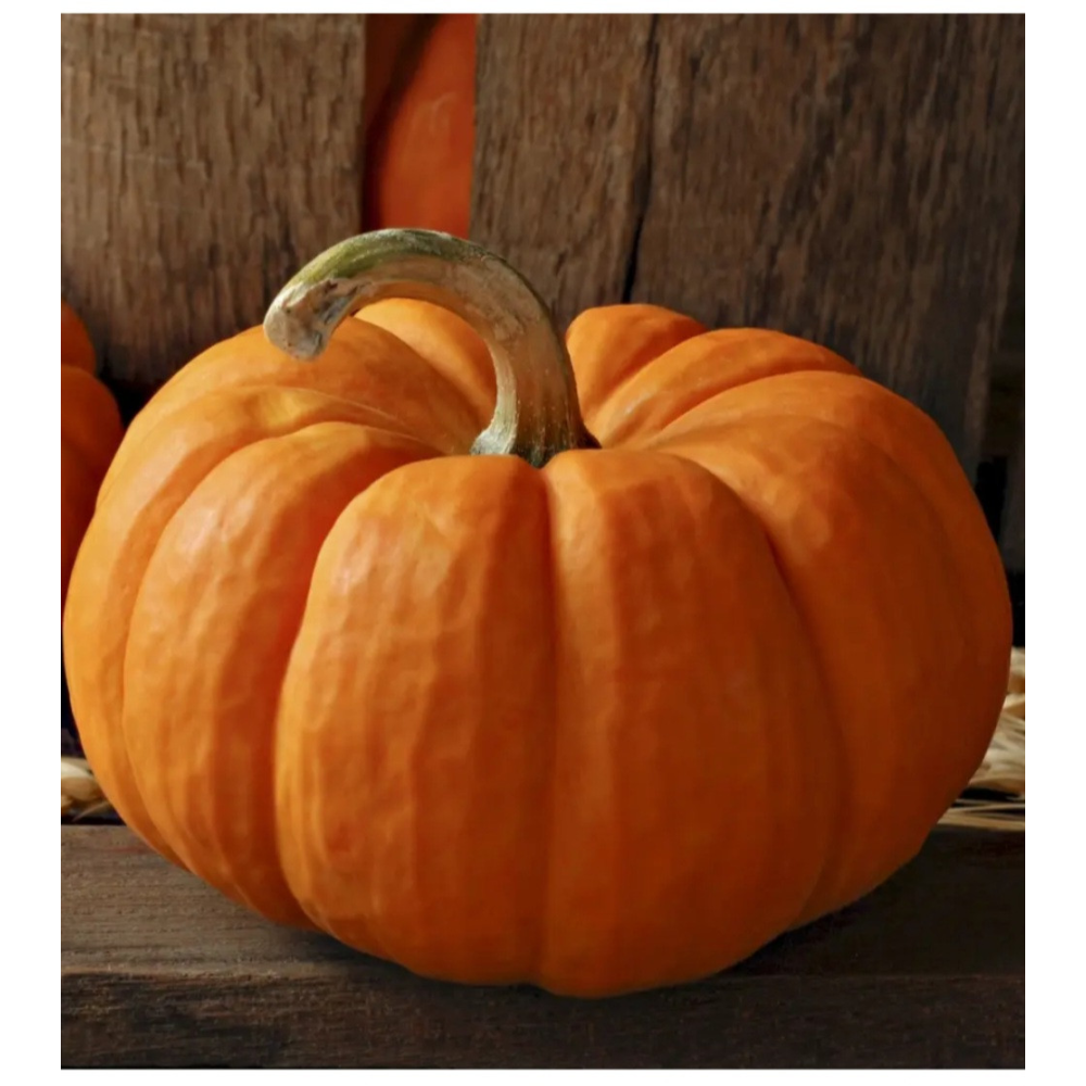 Гарбуз Вест 10шт