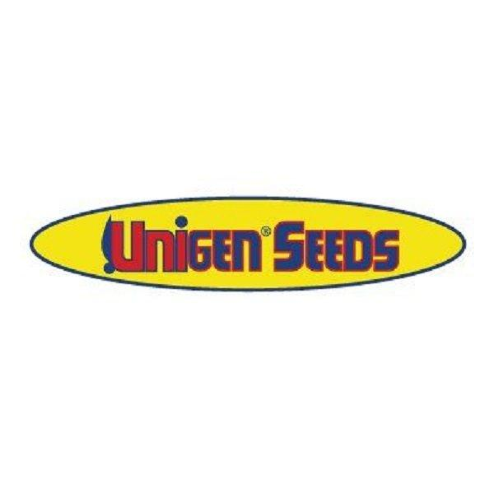 Буряк столова Детройт дарк ред 10г / United Genetics