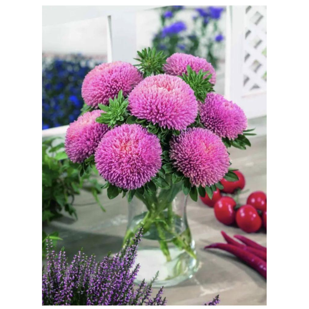 Айстра Балун рожева 0.1г / Satimex