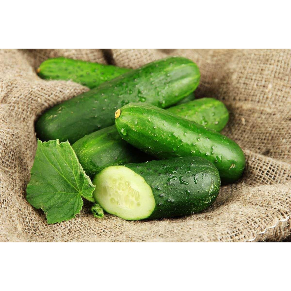 Огірок Гектор F1 20шт / Nunhems Zaden