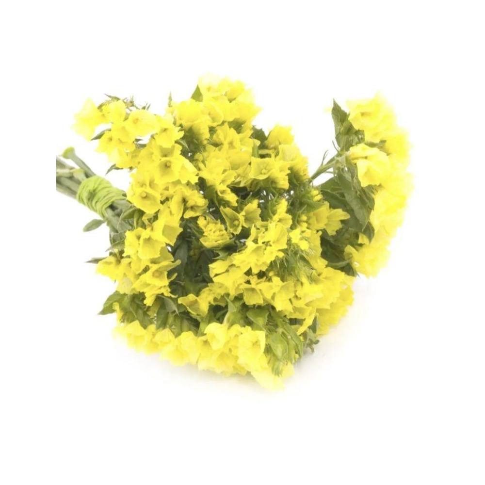 Статиця виїмчаста Золотий берег 0.1г  / Hem Zaden